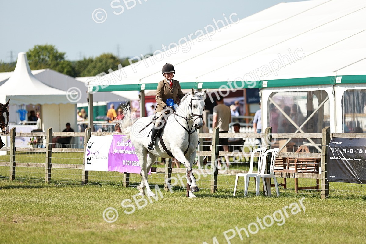 SBM_18491 - Class 112-113 - BSPS LIHS Working Sports Pony