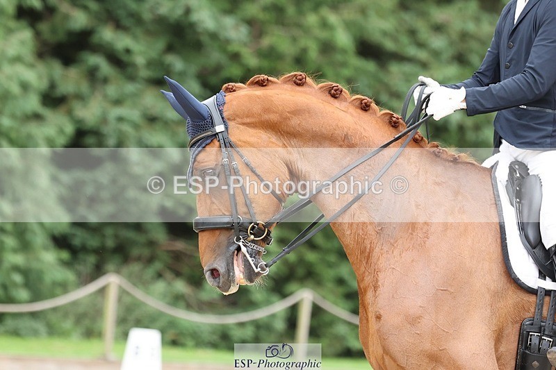 240810-155356-04113 - 208-Tom.Carter-Rubin.Regal