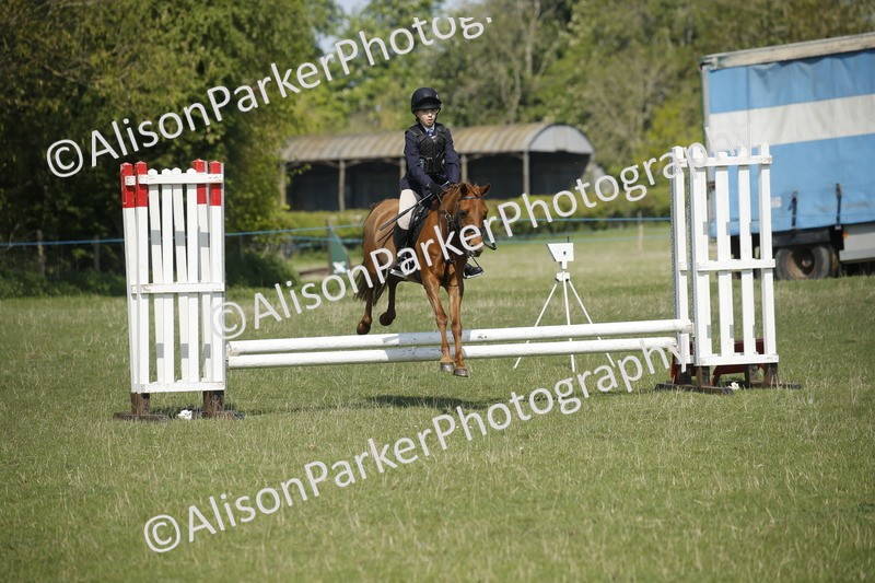 20250427-2078 - Class 13 - Novice Jumping 60cm