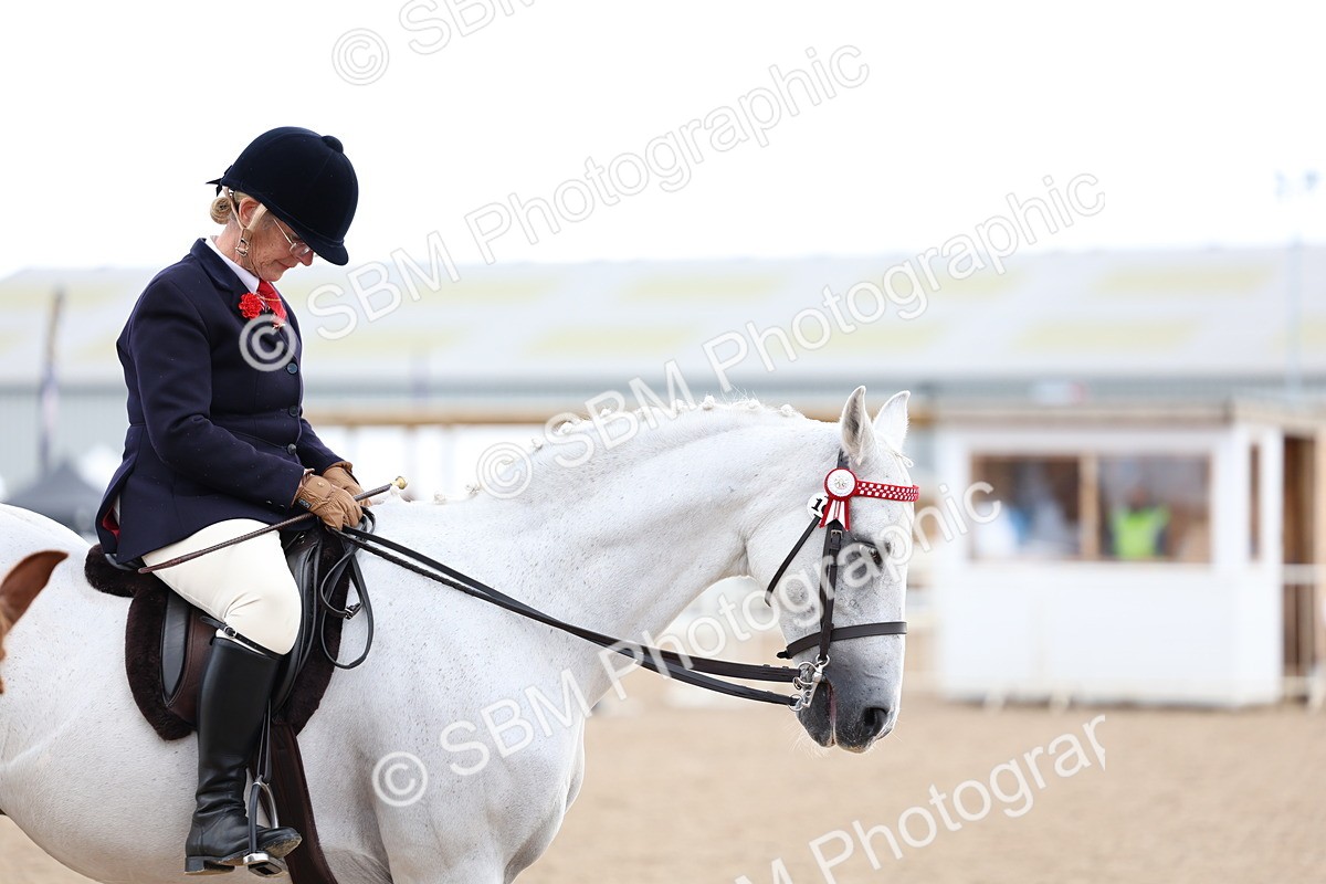 SBM_10141 - Class 304 - Ridden Part Bred Horse Pony