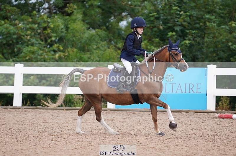 240809A-100834-00448 - Dressage Competition
