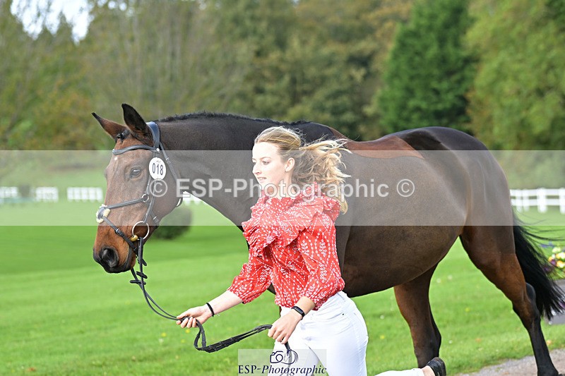 241023-132550-00284 - 018-Alice.Robinson-DERRYS.DIAMOND.CAVALIER