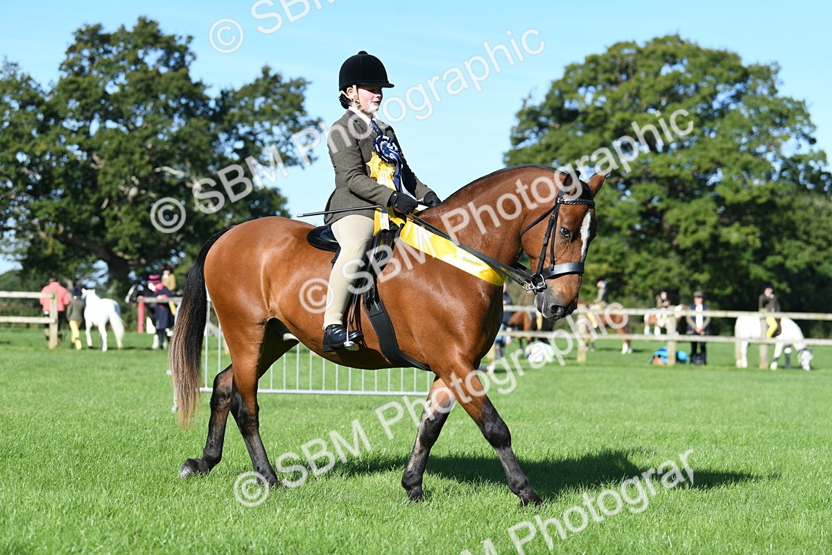 SBM_35633 - Top Turnout Supreme Championship