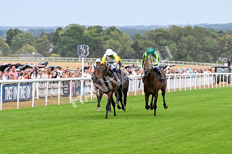 280726-Race 4-Vega King-0906 - Race 4 15.20pm 30 Years Of The Hurn Racing Club EBF Novice Stakes