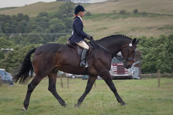 moniaive09-23 - Moniaive Horse Show 2009