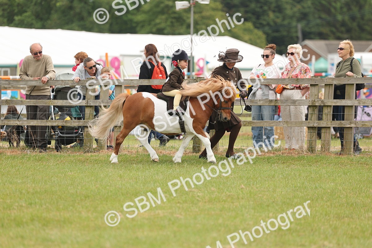SBM_06650 - Class 74-75 - M&M Lead Rein and First Ridden Pony