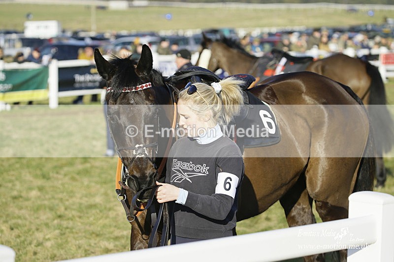 PtP 270222 405 - South & West Wilts Point-to-Point Larkhill 27/02/22