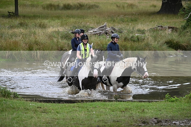 WJ7_3002 - Time at Water 11:37 to 12:13