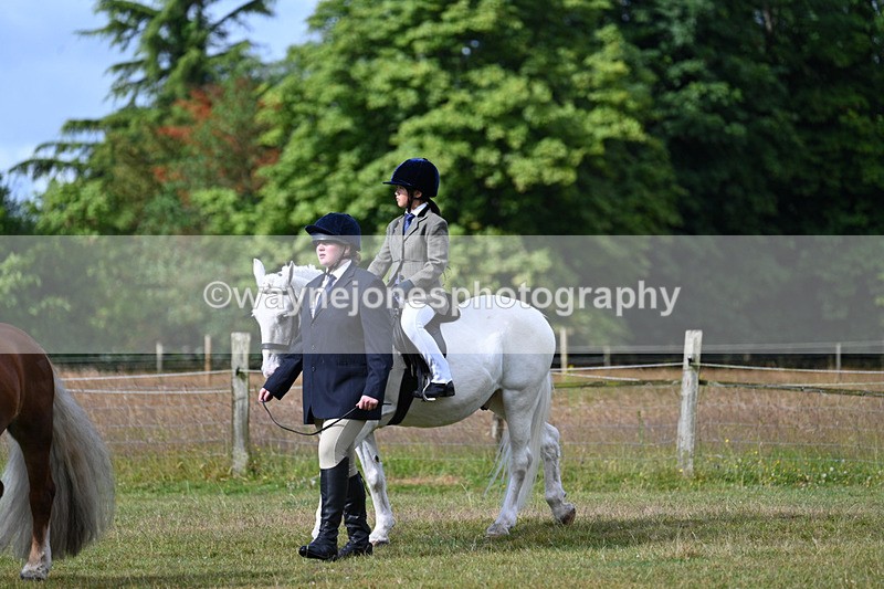 WJ7_4263 - Class 1 Lead Rein Pony