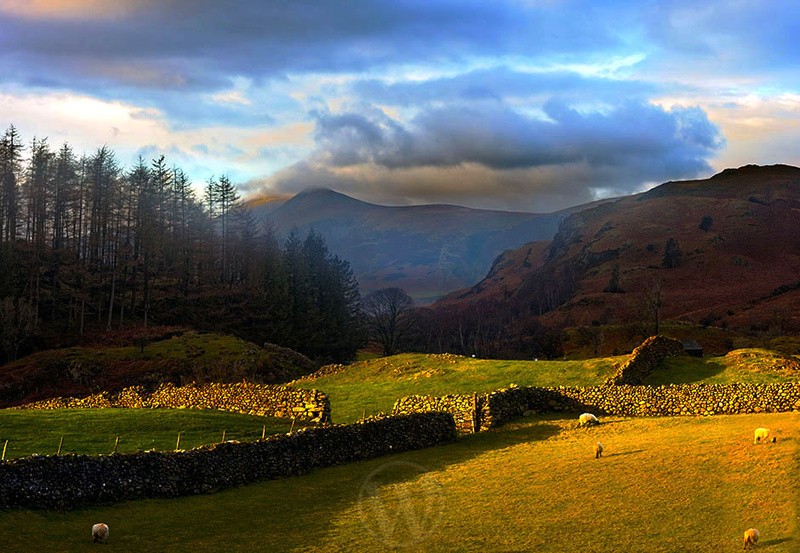 Near Thirlmere Cumbria England - Land
