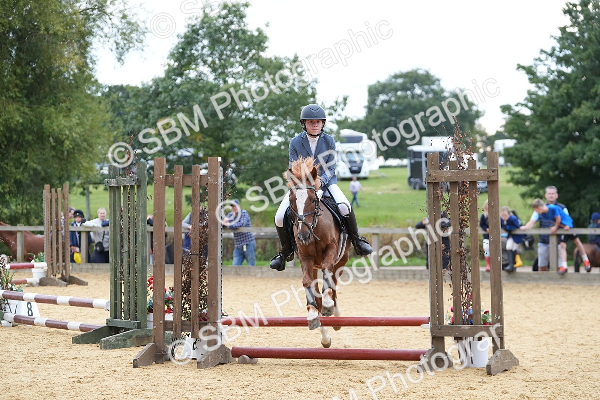 SBM_74840 - J4 - Mini Tour Junior Pony 45cm Championship