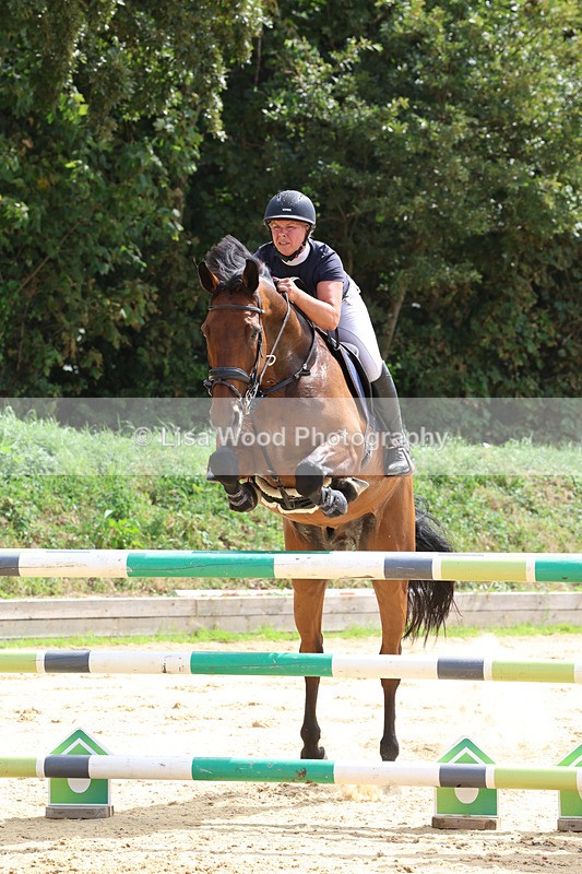 3E7A1931 - Class 9: Senior Foxhunter/1.20 open