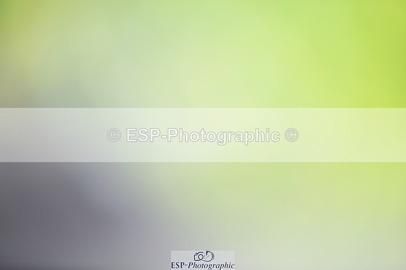 240605-152922-01526 - Cls 7 Medium 61