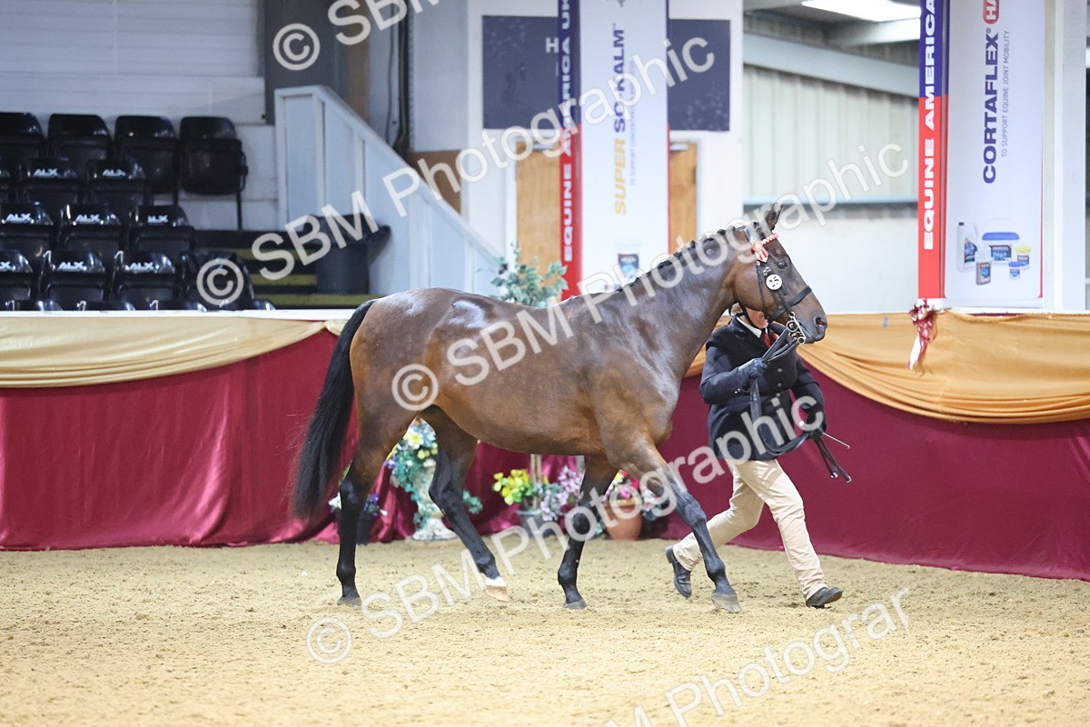 SBM_19400 - Class 901 - Supreme Final - IH Diamond