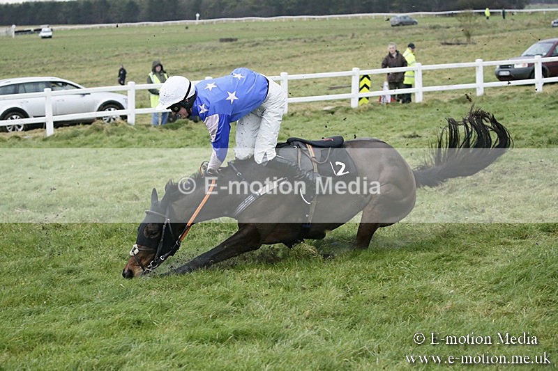 PtP 031217 775 - Hursley Hambledon Point-to-Point Larkhill 03/12/17