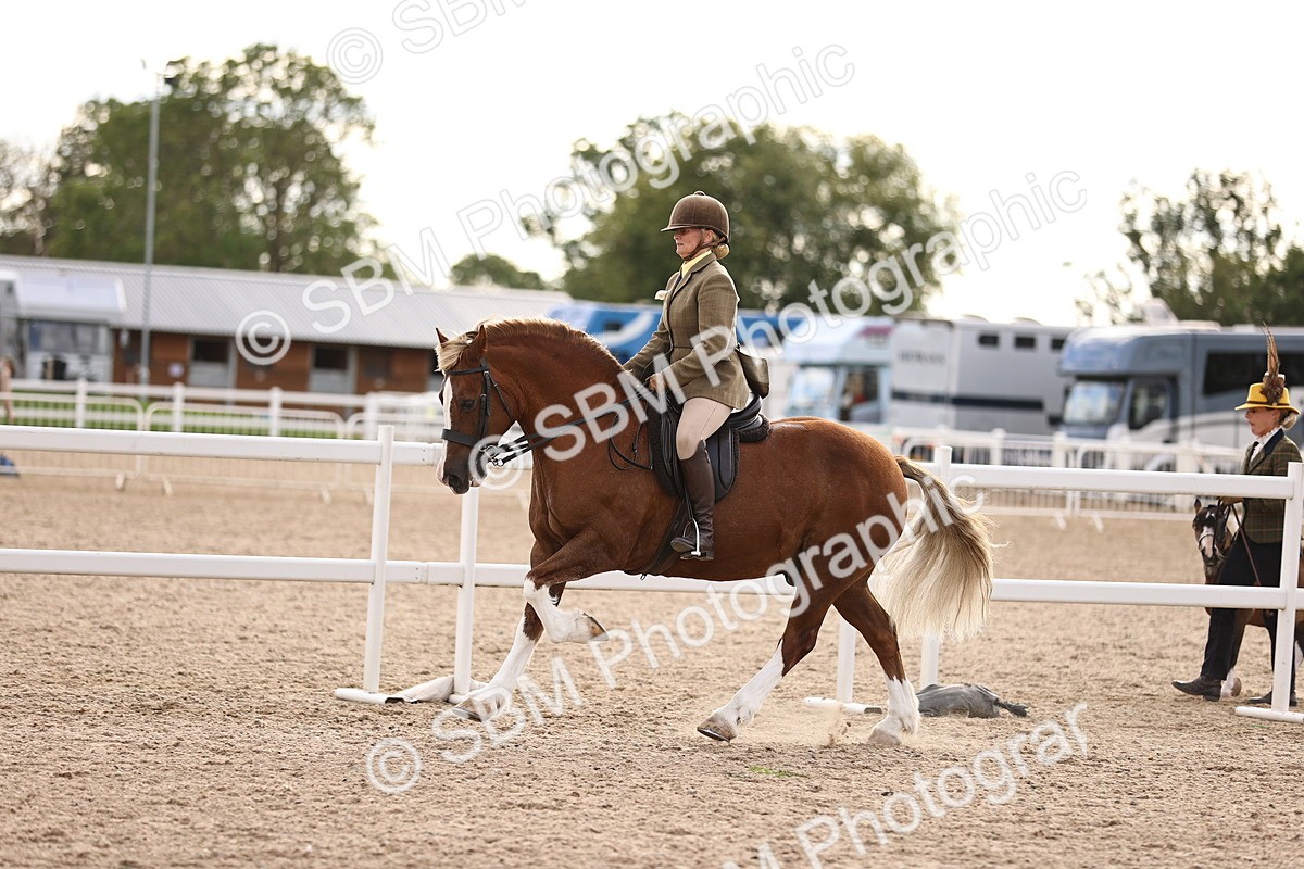 SBM_18195 - Class 423 - Equitation (best rider) Adult
