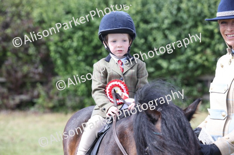 20250831-2743 - Class 17 - Lead Rein Pony