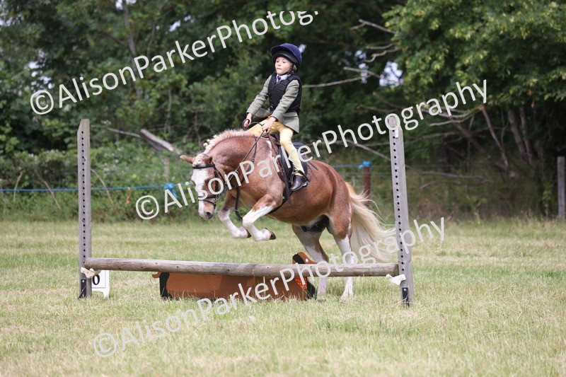 20260614-2037 - Class 21 - Novice Working Hunter Pony