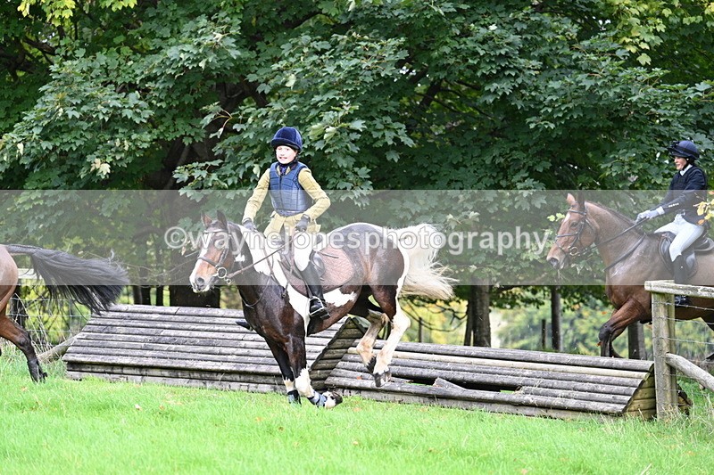 WJ7_4531 - Camera 1 Line 3