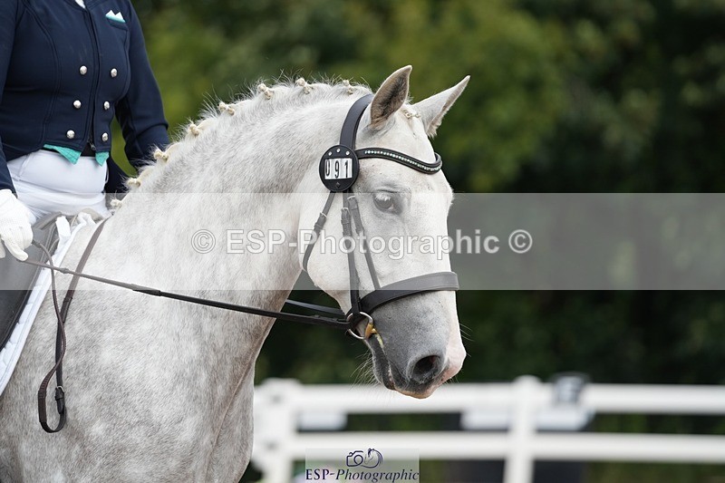 250907-112057-06049 - 091-Jenny.FolmanPluto.Barbana