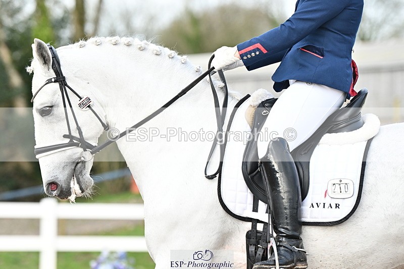 240218A-150509-08313 - 210-Charlotte.Dicker-Amaranto.D.Centurion