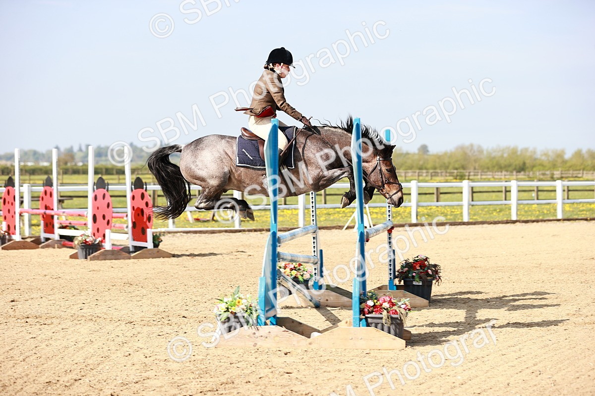  - Class 21 - Senior British Novice - 90cm