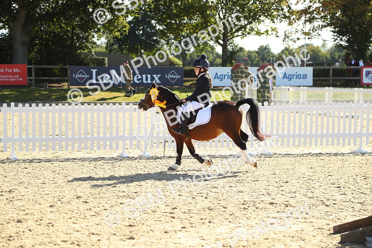 SBM_36086 - J5 - Junior Pony 50cm Championship