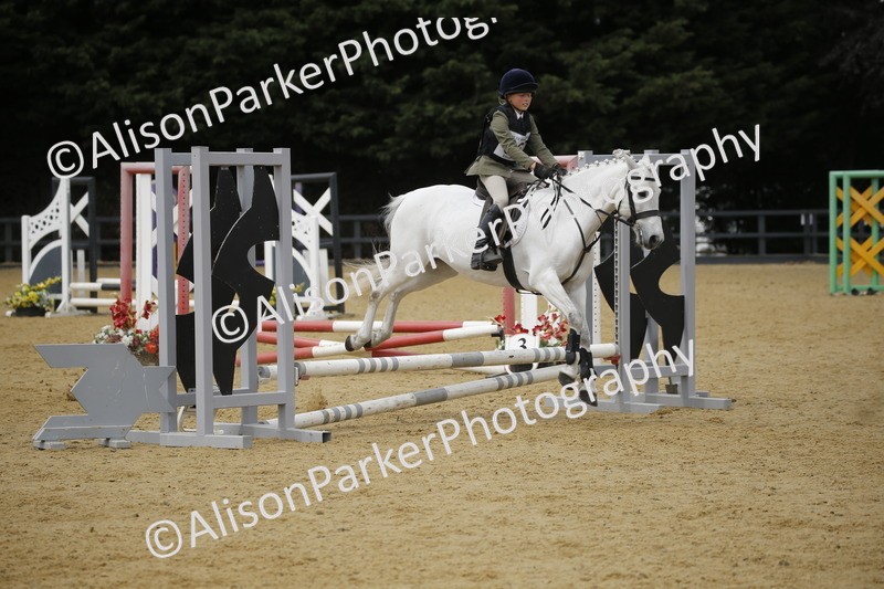 20250622-4745 - 50cm