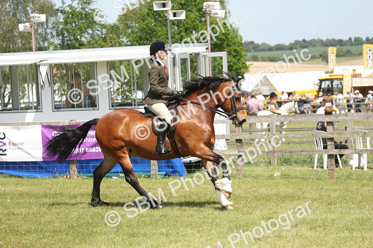 SBM_06912 - Class 26-30 - Mountain and Moorland Ridden