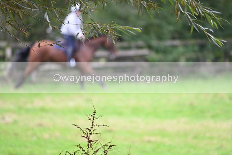 WJ6_7896 - Time at Photographer 13:49 to 14:15