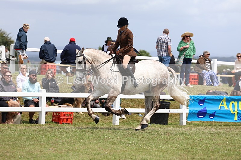 3E7A2091 - Class 10: Open Cob