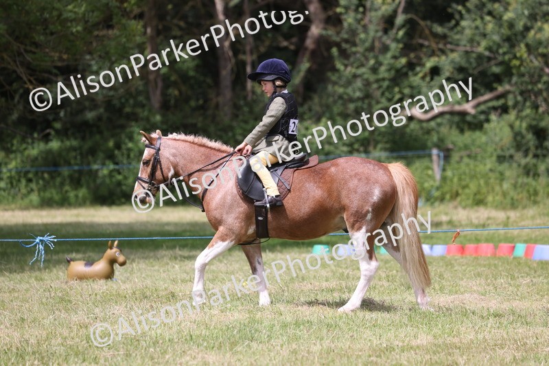 20260614-2127 - Class 21 - Novice Working Hunter Pony