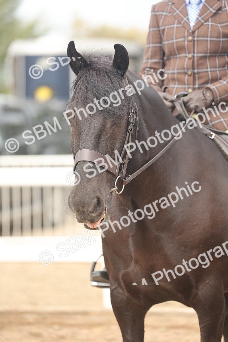 SBM_01977 - Class 14 - Ridden M&M Wildcard