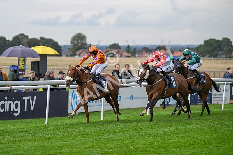 240924-Race 5-Ifonlytheycudtalk-6480 - Race 5