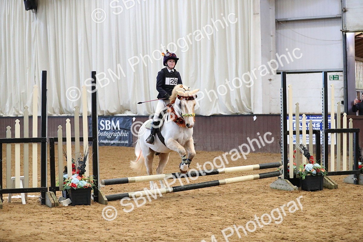 SBM_000135 - Class 1 - Show Jumping 50cm