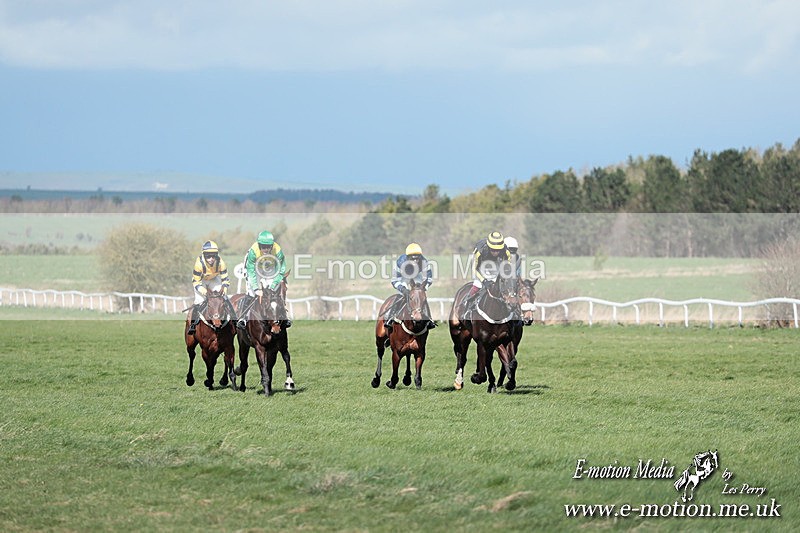 PtP 230324 248 - Tedworth Hunt PtP Larkhill Raccourse 23rd March 2024