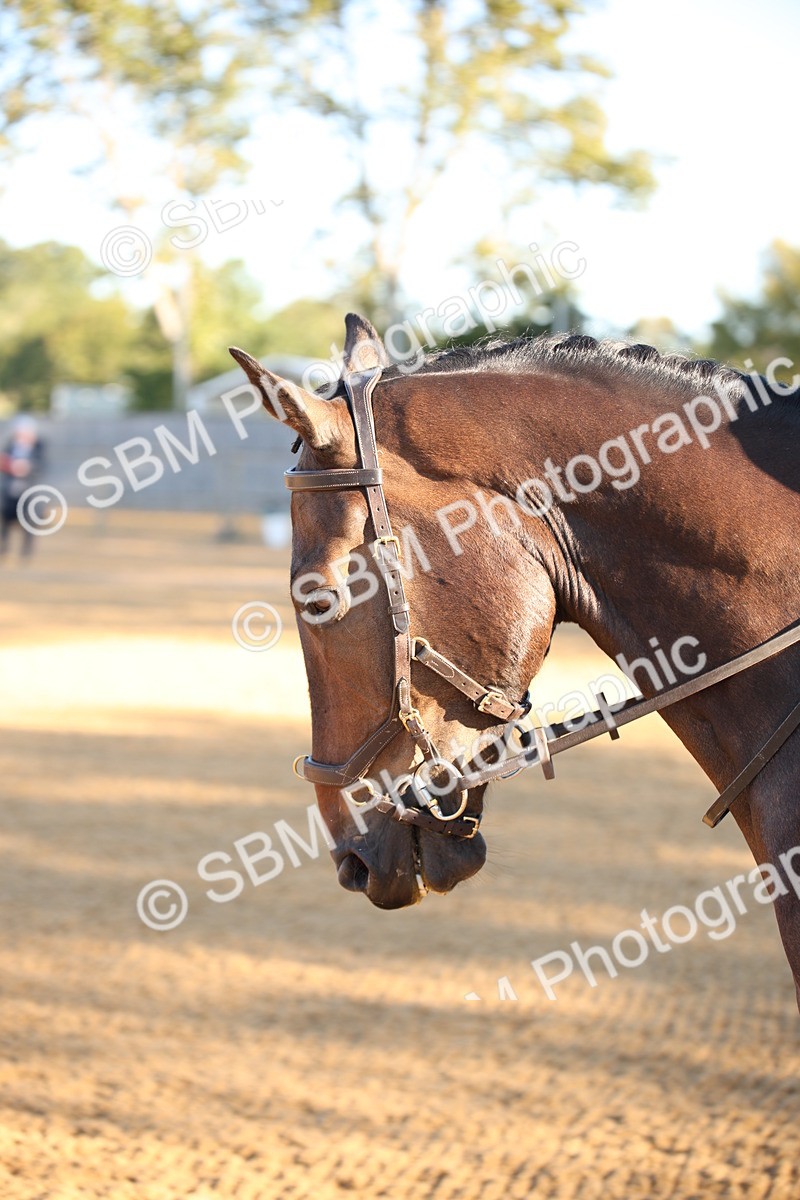 SBM_14607 - D31 - Grand Tour - PYO Open