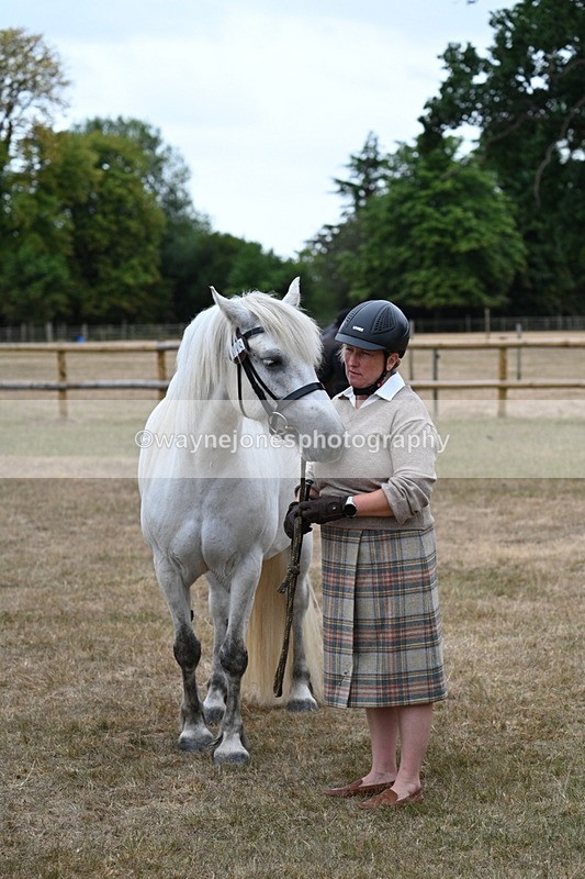 WJ7_9149 - Class 4a Prettiest Mare 14.2hh and over