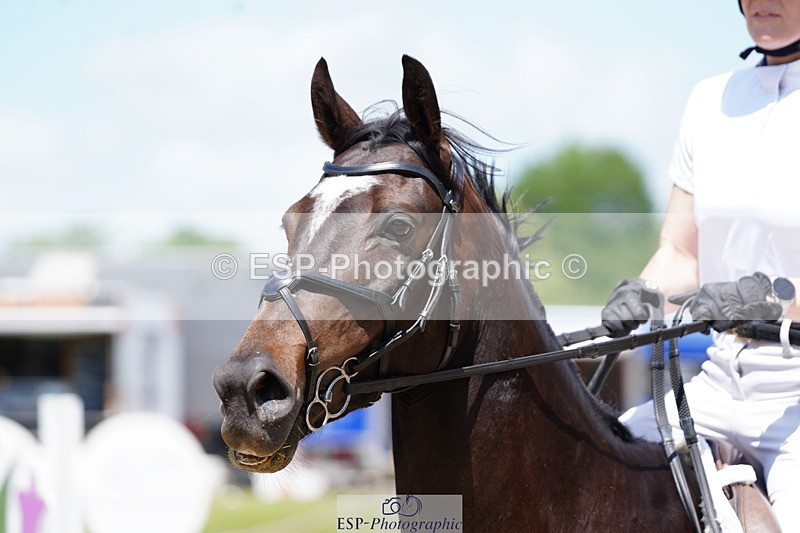 250615A-125612-10923 - Class 46 Snr 1m Open