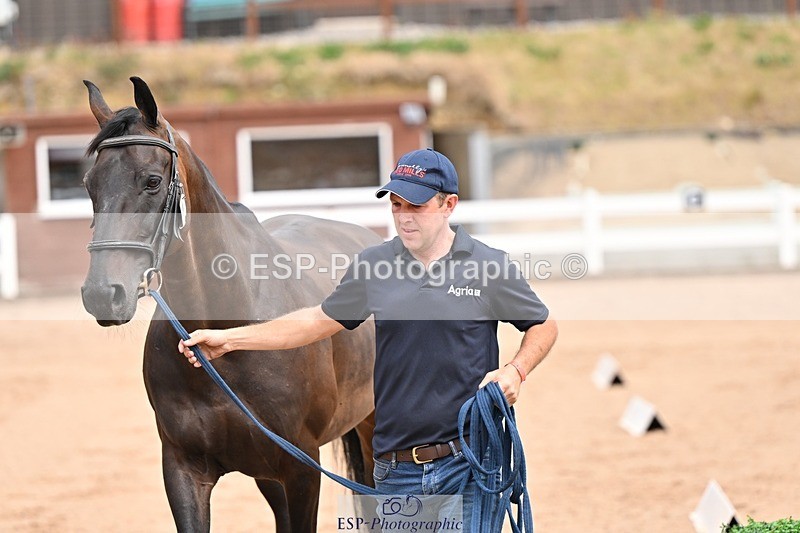 250716-150753-01666 - Trot Up 2.30 to 3.30