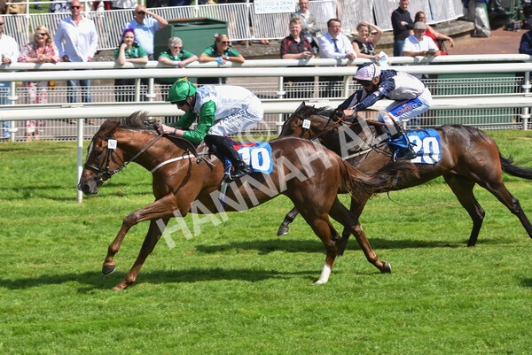 yr11062021r3-33 - Race 3 2.55pm SKF Rous Selling Stakes