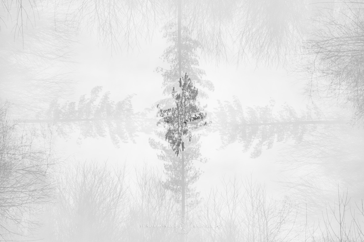 Propeller - Revealed