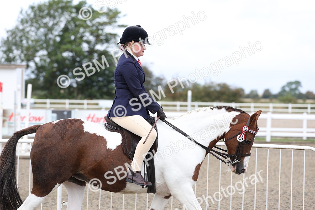 SBM_01467 - Class 52 - Ridden Veteran