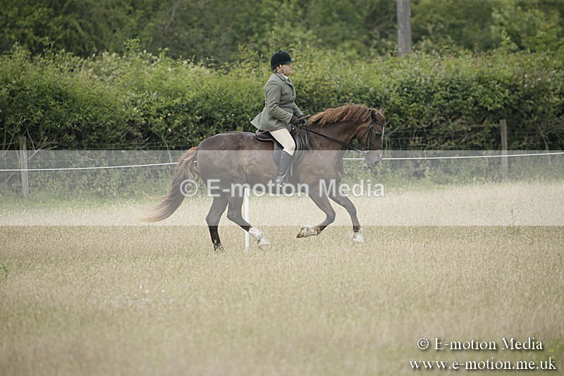 B230619-0491 - Bourne Valley Riding Club Summer Show 23/06/19