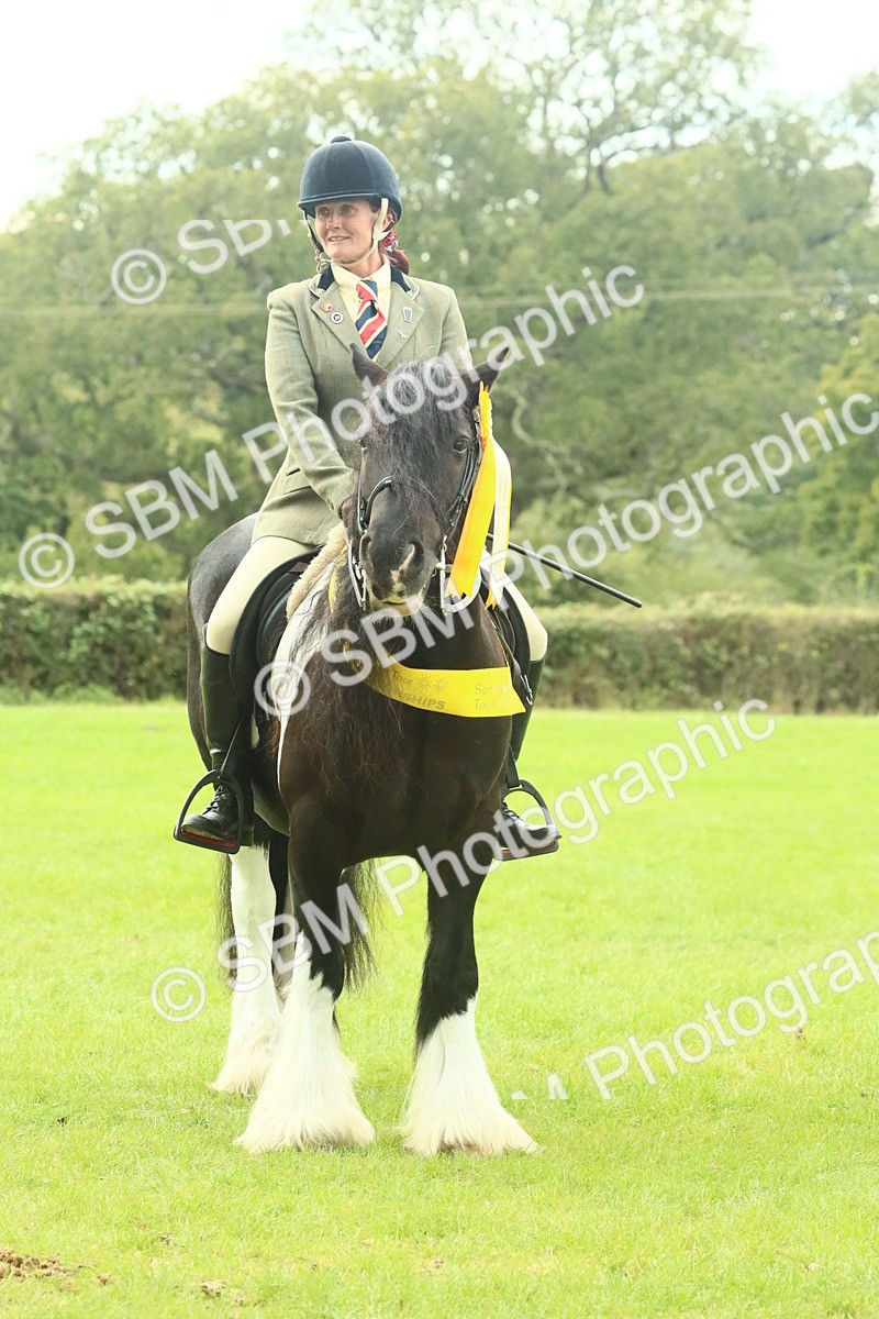 SBM_75069 - Ridden Pony Supreme Championship