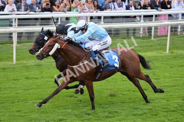 yr24092021r8-17 - Race 8 5.25pm William Hill Build Your Own Odds Apprentice Stakes