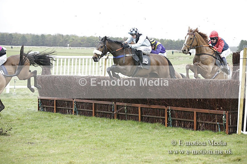 PtP 150320 0199 - New Forest Point-to-Point Larkhill 15/03/20