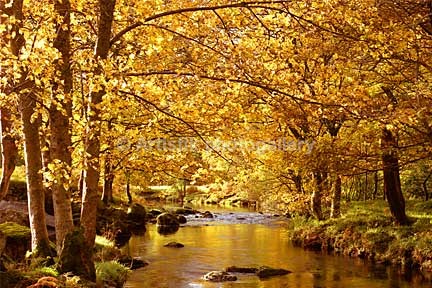 R Llugwy autumn 85-21-7 - Sceniks.com - Snowdonia landscape photographs by Dave O'Shea