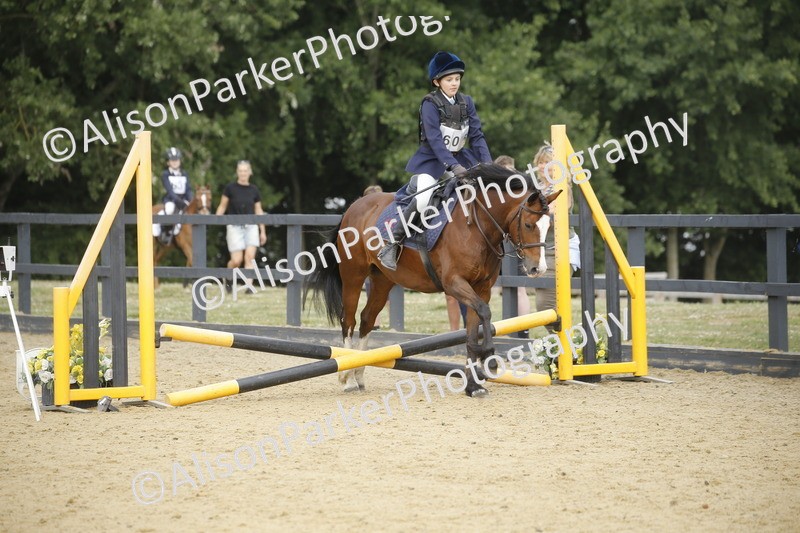 20250622-3631 - 50cm