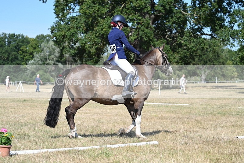 WJ7_0141 - Time 11:03 to 11:28